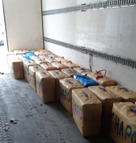 1,5 tonne de résine de cannabis saisie par les douanes de Perpignan › 75 1,5 tonne de résine de cannabis saisie par les douanes de Perpignan › - 74