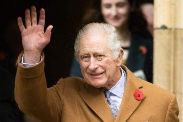 Quelle est la taille du roi Charles ? (Et quelle est la taille des acteurs qui jouent le prince Charles sur The Crown?) - 8