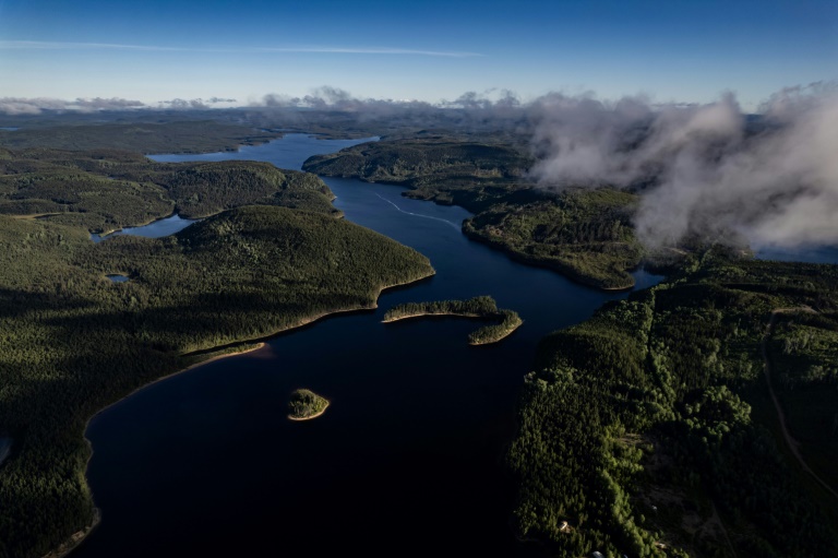La solution pour préserver la forêt boréale ne peut être que globale selon les experts. La Haute-Côte-Nord, au Québec, le 25 août 2022 (AFP - Ed JONES)