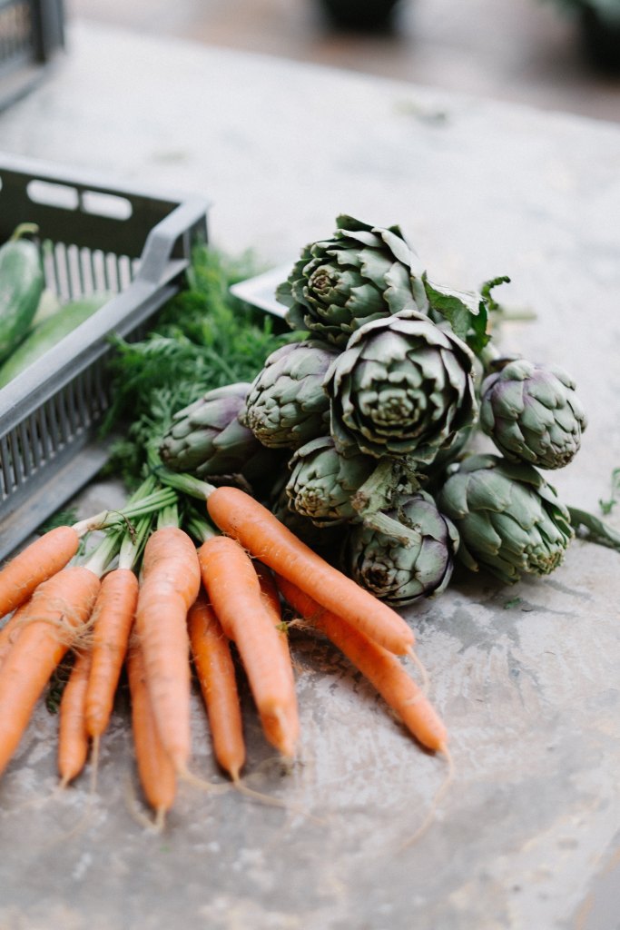 Des plantes incontournables dont aucune maison ne devrait se passer cet hiver 6 4 conseils pour cultiver ses propres légumes