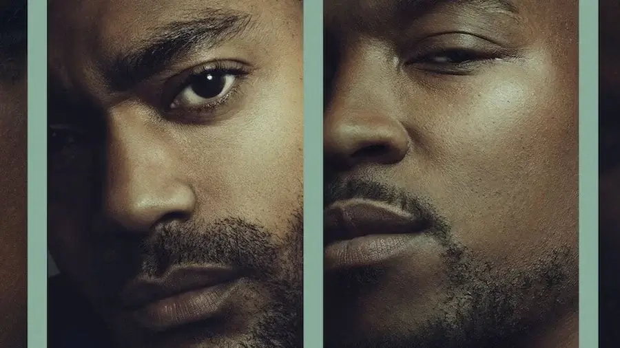 le renouveau de netflix le renouveau de netflix