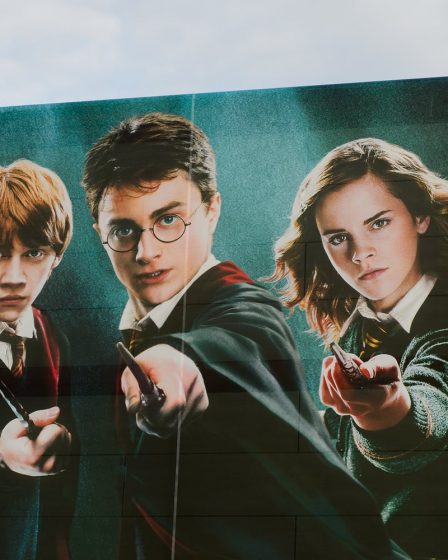 Pourquoi les fanfictions sont-elles si populaires ? 5 Pourquoi les fanfictions sont-elles si populaires ? - 4