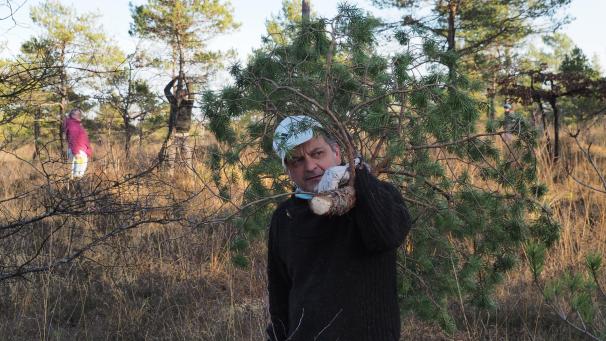 L'an dernier, le Conservatoire d'Espaces Naturels Champagne-Ardenne organisait une soirée pour abattre des sapins et découvrir des pâturages méconnus.  Les archives