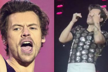 Harry Styles touché à l'œil par un fan lui lançant des Skittles sur scène - 12