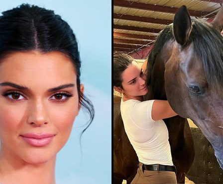Kendall Jenner attend un bébé cheval par mère porteuse - 6