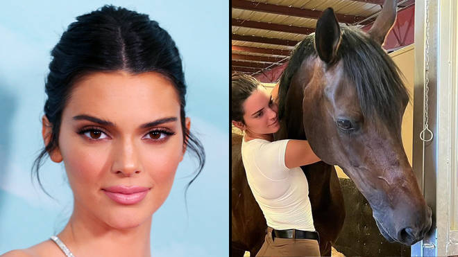 Kendall Jenner attend un bébé cheval par mère porteuse 2 Kendall Jenner attend un bébé cheval par mère porteuse - 1