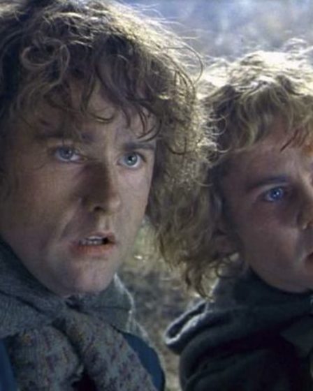 Billy Boyd (Pippin) "a adoré" Le Seigneur des Anneaux : Les Anneaux de Pouvoir 50 Billy Boyd (Pippin) "a adoré" Le Seigneur des Anneaux : Les Anneaux de Pouvoir - 49