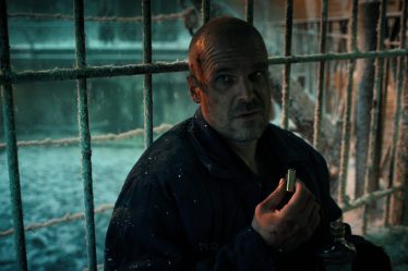 David Harbour veut "verser son âme" dans la dernière saison de la série Stranger Things - 9