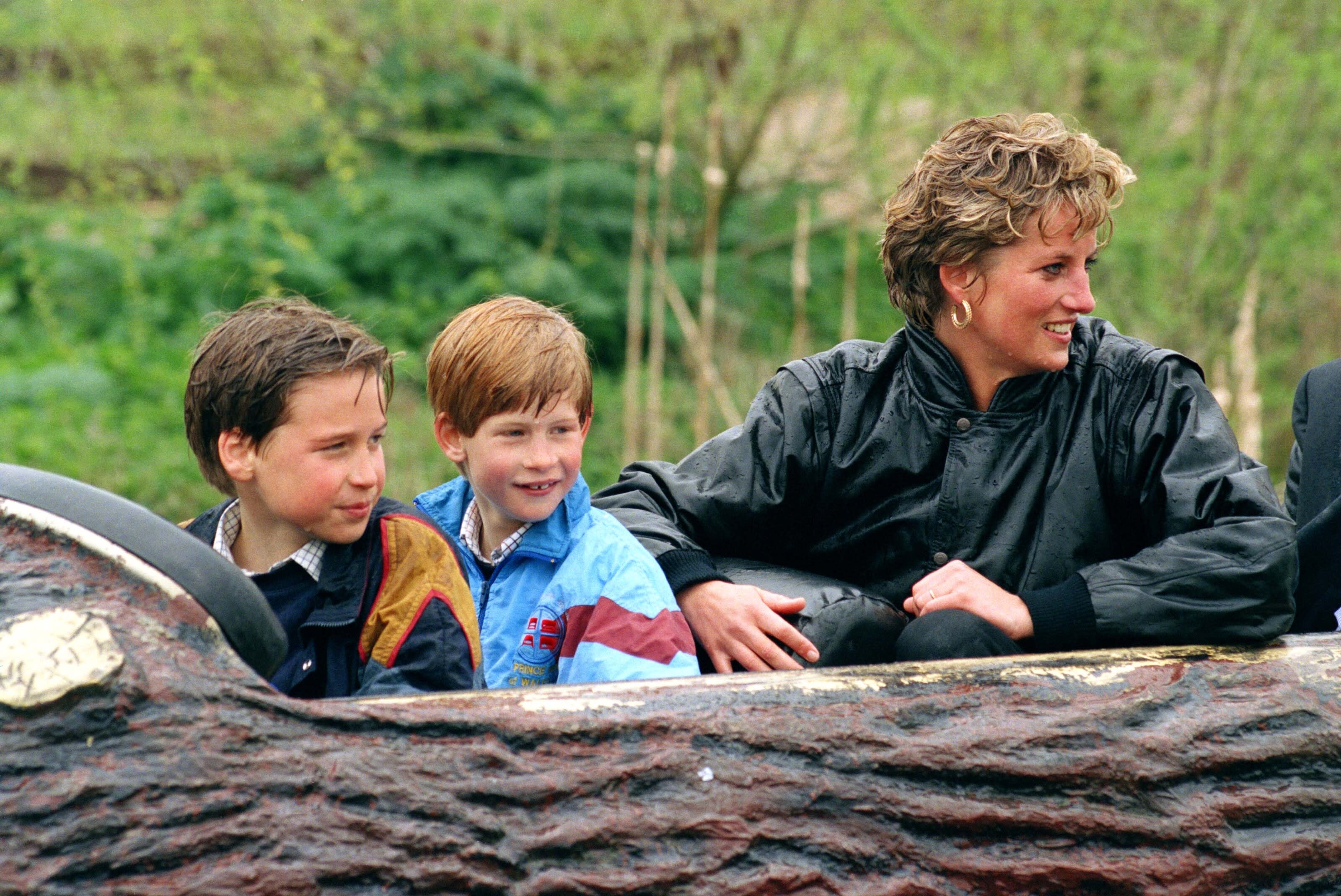 La princesse Diana et ses fils