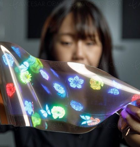 LG présente le premier écran étirable à micro-LED › Geek News 60 LG présente le premier écran étirable à micro-LED › Geek News - 59