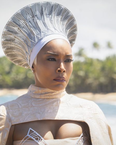 La suite de Black Panther établit un record au box-office pour une ouverture en novembre 85 La suite de Black Panther établit un record au box-office pour une ouverture en novembre - 84