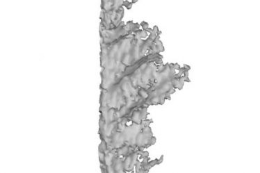 Structure dentaire en 3D – Sciences et Avenir › - 7