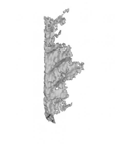 Structure dentaire en 3D – Sciences et Avenir › 48 Structure dentaire en 3D – Sciences et Avenir › - 47