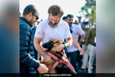 "Tout est possible" : Comment le "Marvel" de Gwalior s'est joint au Yatra de Rahul Gandhi - 10