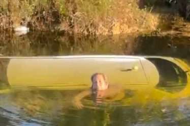 Une femme secourue détaille une «expérience effrayante» après s'être écrasée dans le canal Homestead - NBC 6 Floride du Sud - 5