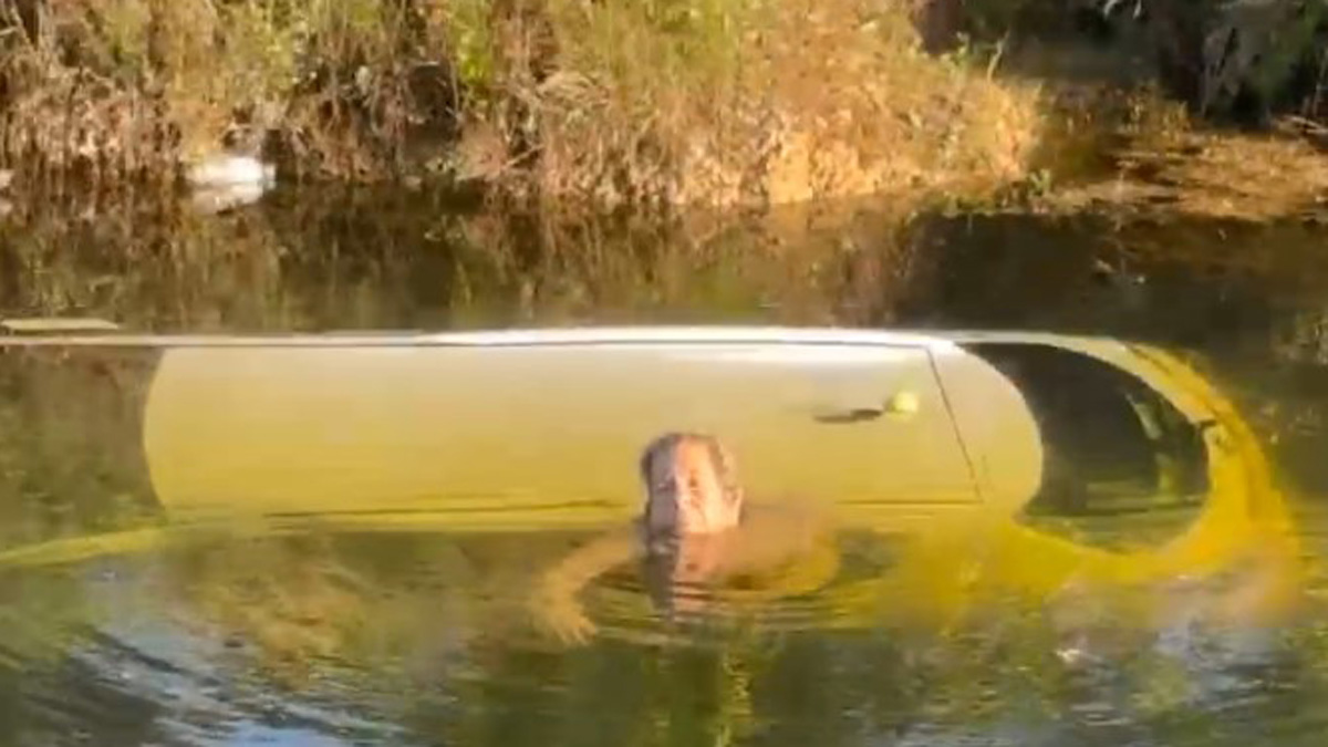 Une femme secourue détaille une «expérience effrayante» après s'être écrasée dans le canal Homestead - NBC 6 Floride du Sud 2 Une femme secourue détaille une «expérience effrayante» après s'être écrasée dans le canal Homestead - NBC 6 Floride du Sud - 1
