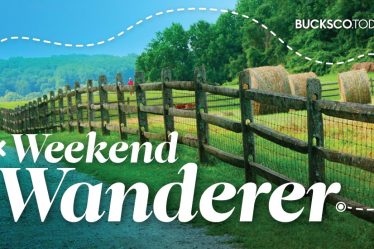Weekend Wanderer : Mère Nature est cruelle. Demandez à mon sac à main - 5