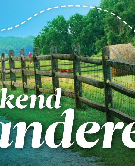 Weekend Wanderer : Mère Nature est cruelle. Demandez à mon sac à main - 184