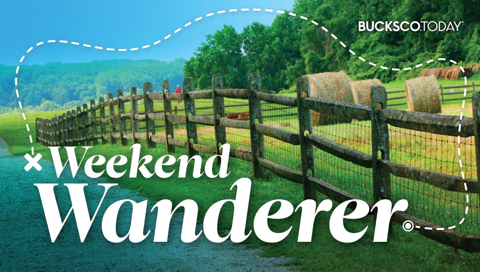 Weekend Wanderer : Mère Nature est cruelle. Demandez à mon sac à main 2 Weekend Wanderer : Mère Nature est cruelle. Demandez à mon sac à main - 1