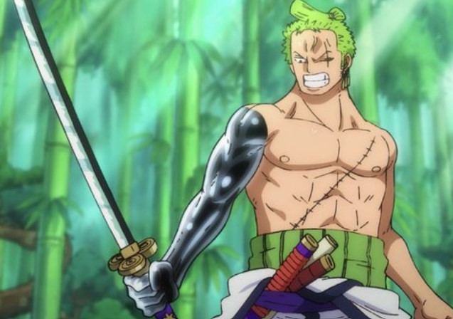 15 mecs animés attrayants avec des abdominaux (personnages masculins sexy) 9 Zoro