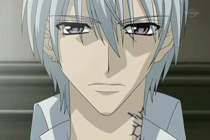Liste des 15 personnages d'anime aux cheveux argentés les plus cool (hommes et femmes) 9 Zéro Kiryu