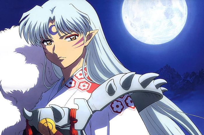 Liste des 15 personnages d'anime aux cheveux argentés les plus cool (hommes et femmes) 13 Sesshomaru
