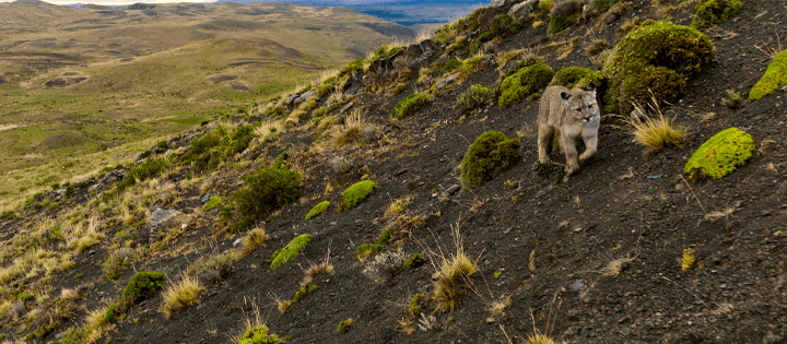 les documentaires sur la nature de notre planète 2 arrivent sur netflix en 2023 et au-delà les documentaires sur la nature de notre planète 2 arrivent sur netflix en 2023 et au-delà