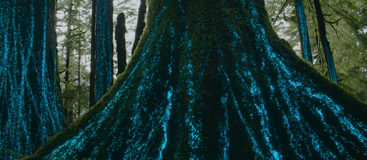 nos documentaires sur la nature du monde vivant arrivent sur netflix en 2023 et au-delà nos documentaires sur la nature du monde vivant arrivent sur netflix en 2023 et au-delà