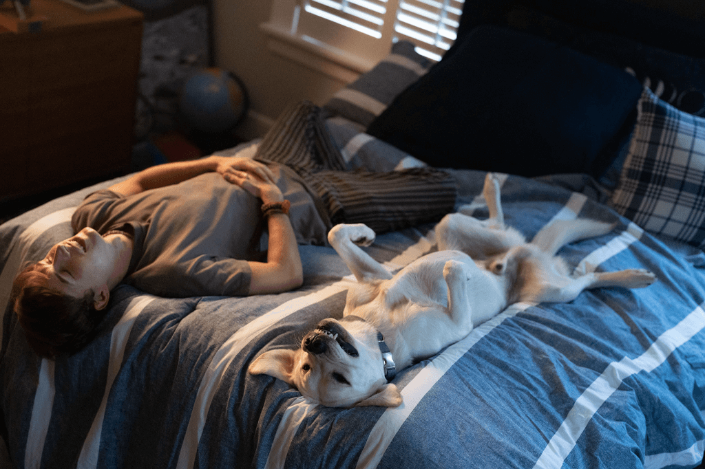 chien disparu film netflix à venir sur netflix en janvier 2023 un bon garçon chien disparu film netflix à venir sur netflix en janvier 2023 un bon garçon