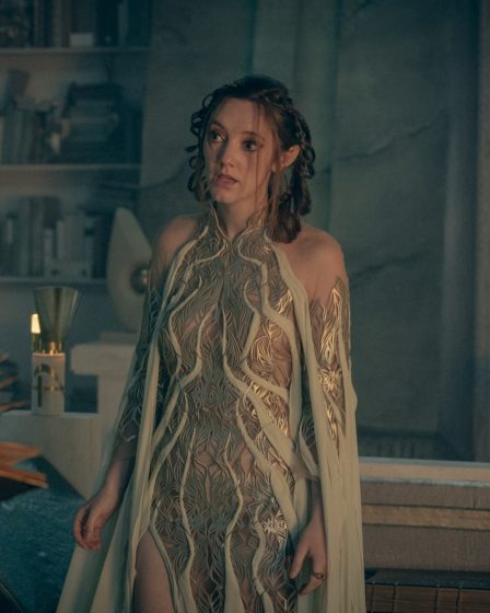 Est The Witcher: Blood Origin est-elle une série préquelle ou une suite ? 82 Est The Witcher: Blood Origin est-elle une série préquelle ou une suite ? - 81