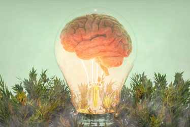 3 facteurs clés qui maintiennent votre cerveau en bonne santé, selon de nouvelles recherches - 7