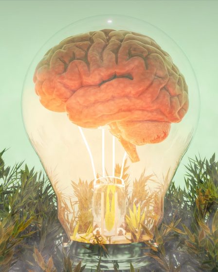 3 facteurs clés qui maintiennent votre cerveau en bonne santé, selon de nouvelles recherches 29 3 facteurs clés qui maintiennent votre cerveau en bonne santé, selon de nouvelles recherches - 28