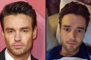 Liam Payne demande aux fans de One Direction de lui pardonner - 11