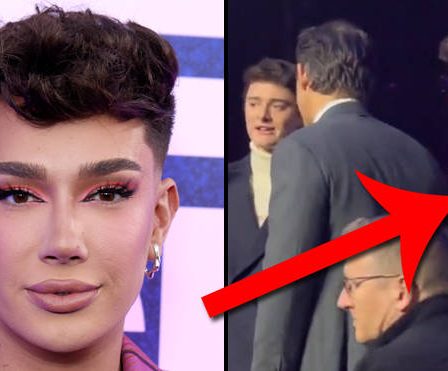 James Charles torréfié pour avoir "interrompu" Noah Schnapp et Ryan Reynolds dans une vidéo virale 69 James Charles torréfié pour avoir "interrompu" Noah Schnapp et Ryan Reynolds dans une vidéo virale - 68