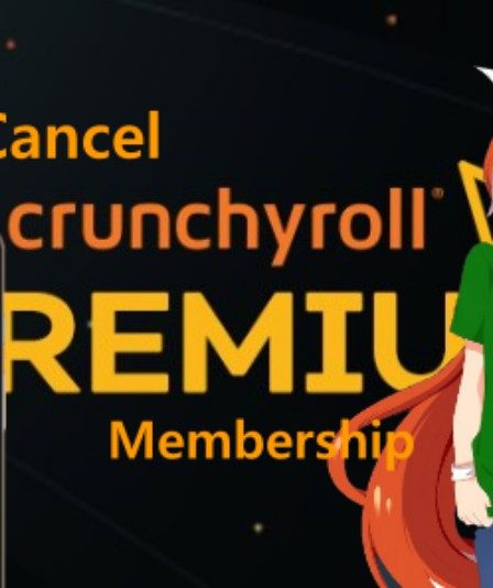 Pourquoi ne puis-je pas annuler l'adhésion à Crunchyroll ? 90 Pourquoi ne puis-je pas annuler l'adhésion à Crunchyroll ? - 89
