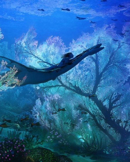 Avatar de créatures et Avatar : chemin de l'eau - 105