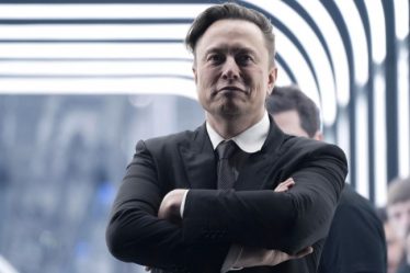 Elon Musk cherche un fou pour devenir PDG de Twitter - 3