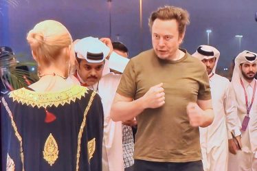 Le show d'Elon Musk lors de la finale France-Argentine (vidéo) - 3