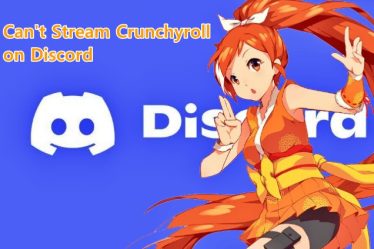 Correction : Impossible de diffuser Crunchyroll sur Discord - 10
