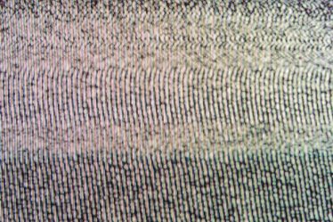 Qu'est-ce que le bruit brun ? | Magazine de la BBC sur la science - 4