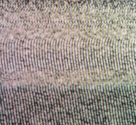 Qu'est-ce que le bruit brun ? | Magazine de la BBC sur la science 2 Qu'est-ce que le bruit brun ? | Magazine de la BBC sur la science - 1