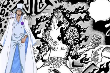 Quelle est la force de Rob Lucci dans CP0 ? (Une pièce) - 8
