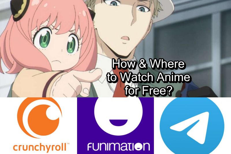 Comment et où regarder des anime gratuitement ? (expliqué) 2 Comment et où regarder des anime gratuitement ? (expliqué) - 1