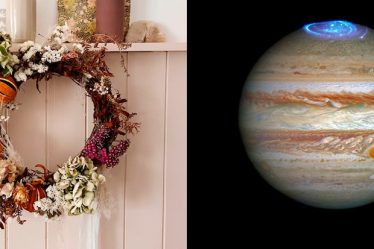 Couronne de Noël DIY : comment créer votre propre guirlande sur le thème de Jupiter - 5