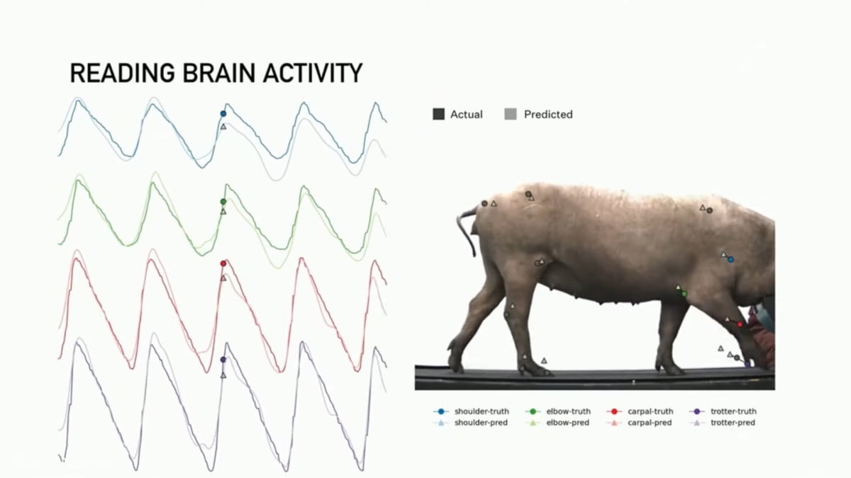 La société d'Elon Musk sous enquête pour violation des droits des animaux › - 3