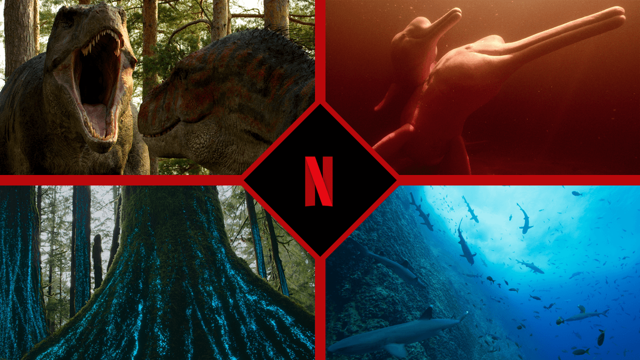 Les documentaires sur la nature arrivent sur Netflix en 2023 et au-delà 2 Les documentaires sur la nature arrivent sur Netflix en 2023 et au-delà - 1