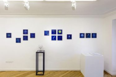 Prix ​​Photographie et Science, Regard pointu sur les microplastiques – Sciences et Avenir › - 9