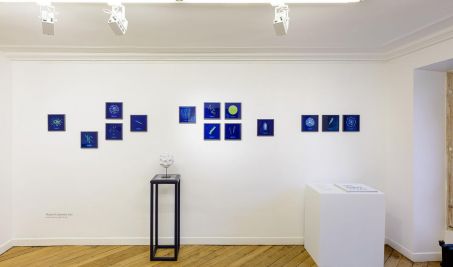 Prix ​​Photographie et Science, Regard pointu sur les microplastiques – Sciences et Avenir › - 1