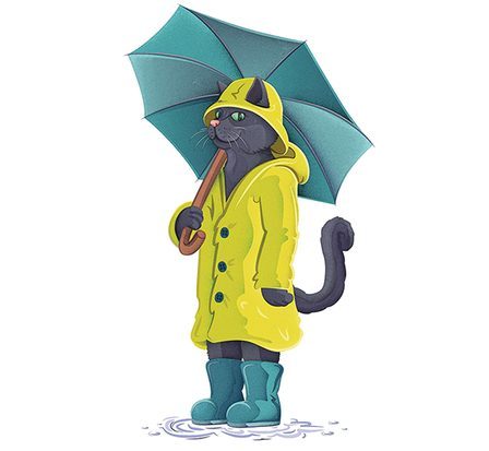 Les chats savent-ils quand il va pleuvoir ? 78 Les chats savent-ils quand il va pleuvoir ? - 77
