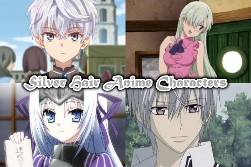 Liste des 15 personnages d'anime aux cheveux argentés les plus cool (hommes et femmes) 2 Liste des 15 personnages d'anime aux cheveux argentés les plus cool (hommes et femmes) - 1